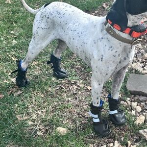 Waterproof Dog Boots- Large